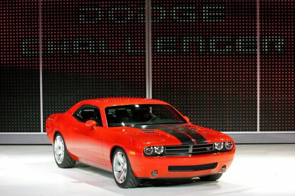 Red Challenger in the exhibition space
