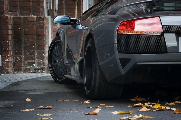 Ein schwarzes Auto ist in einer Straße abgestellt, die mit Blättern bedeckt ist