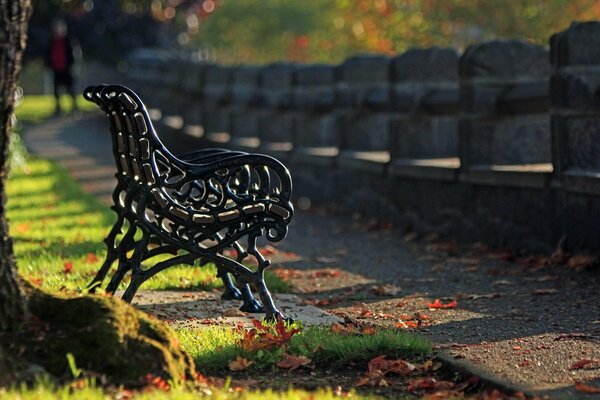 A bench surrounded by autumn leaves in the park