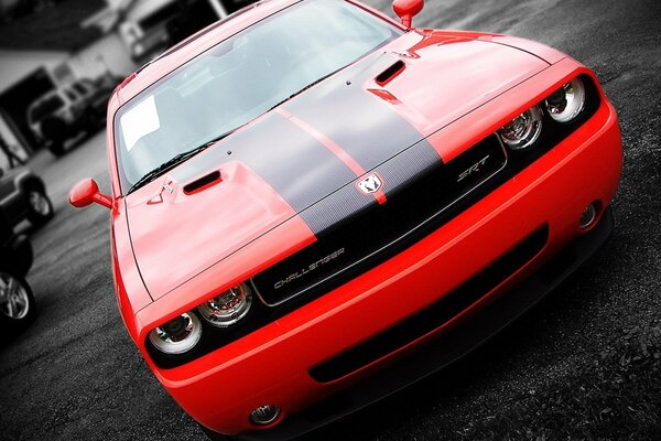 Red Dodge Challenger with blue sports stripes