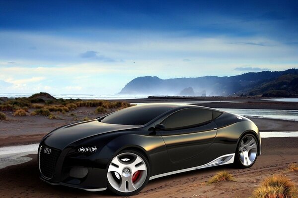 Audi sulla riva del fiume nel deserto
