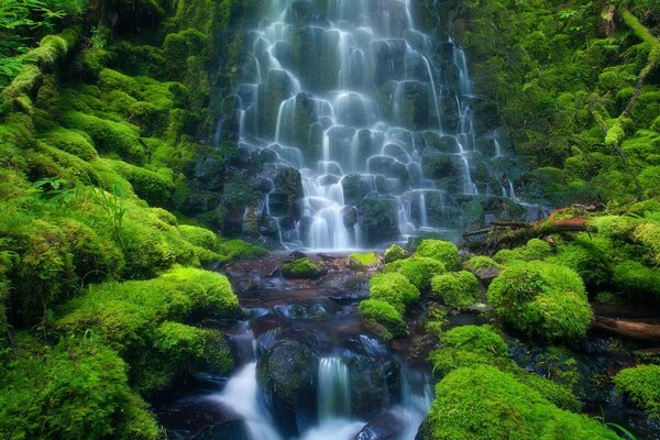 Cascade de cascades avec végétation verte