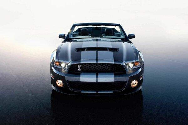 Imagen frontal del coche con cobra color asfalto