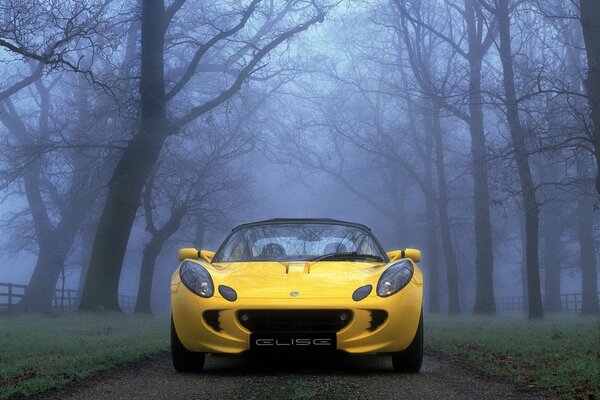 Yellow car among foggy trees on the road