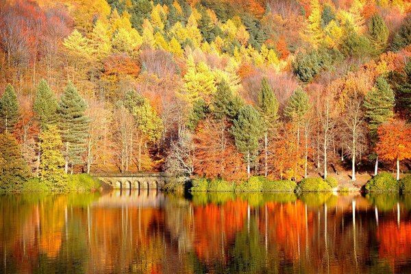 Unglaublich schöne Natur: Der See ist ein natürlicher Spiegel