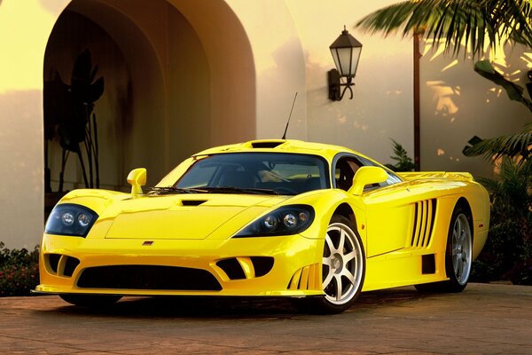 Saleen yellow sport sports car saleen