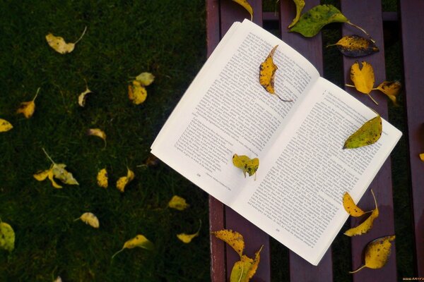 Ein Buch, das mit Herbstblättern bedeckt ist