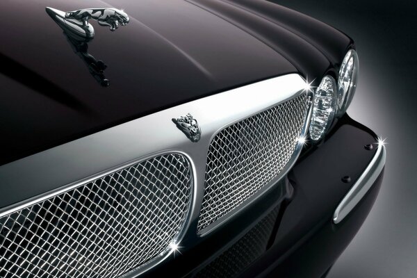 Logo cool sur la grille de Jaguar