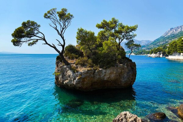 Isola con alberi in mezzo al mare