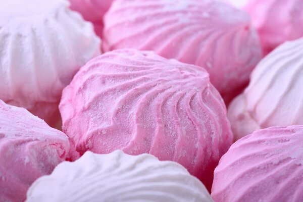 Rosa doppio Marshmallow