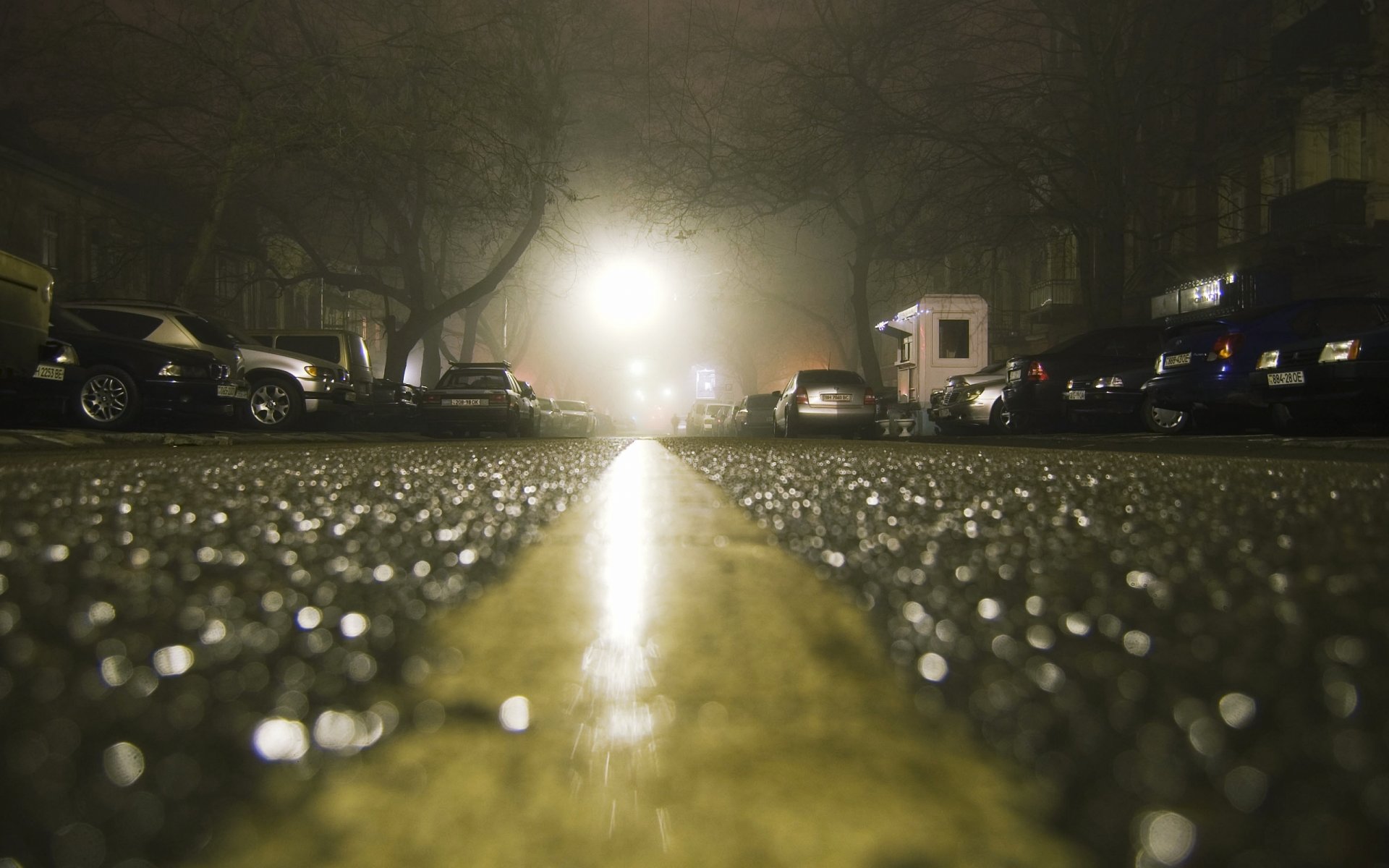 asphalte après la pluie nuit voiture maison gros plan