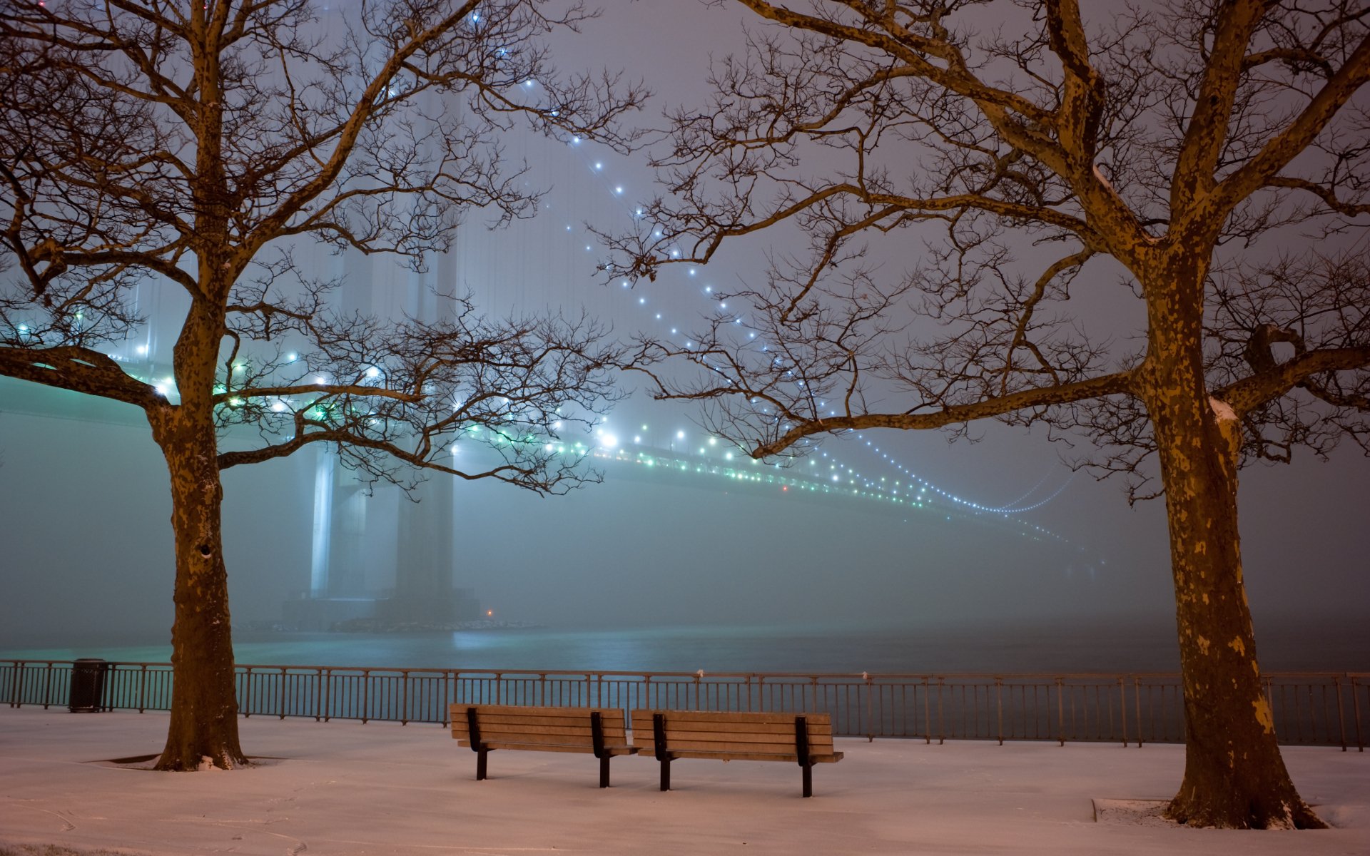 parque bancos árboles puente luces nieve noche niebla