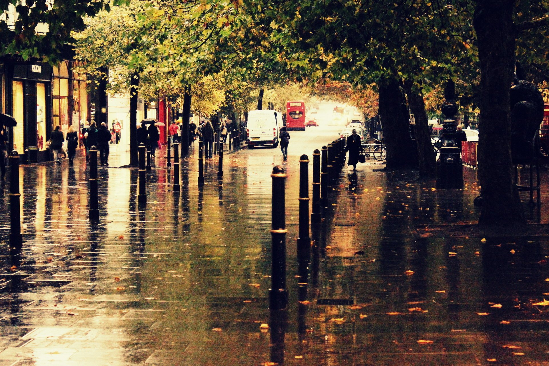 otoño calle ciudad lluvia