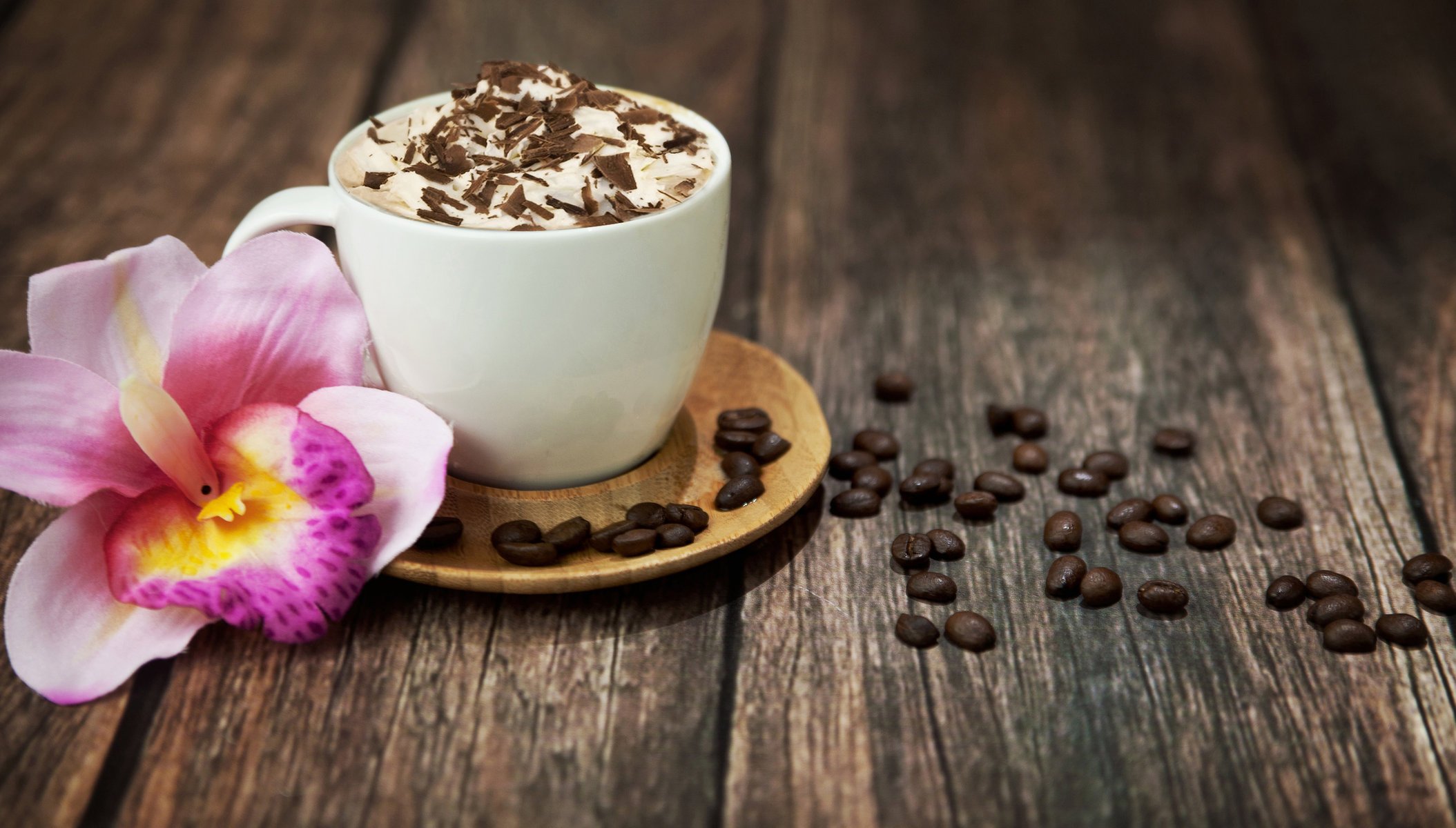 cappuccino boisson café chocolat mousse grains tasse