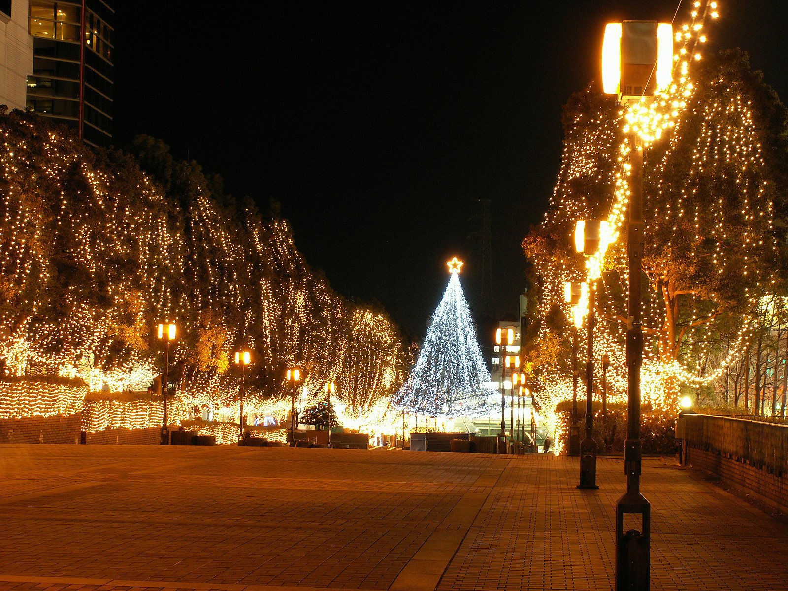 ville nuit lumières arbre de noël jaune