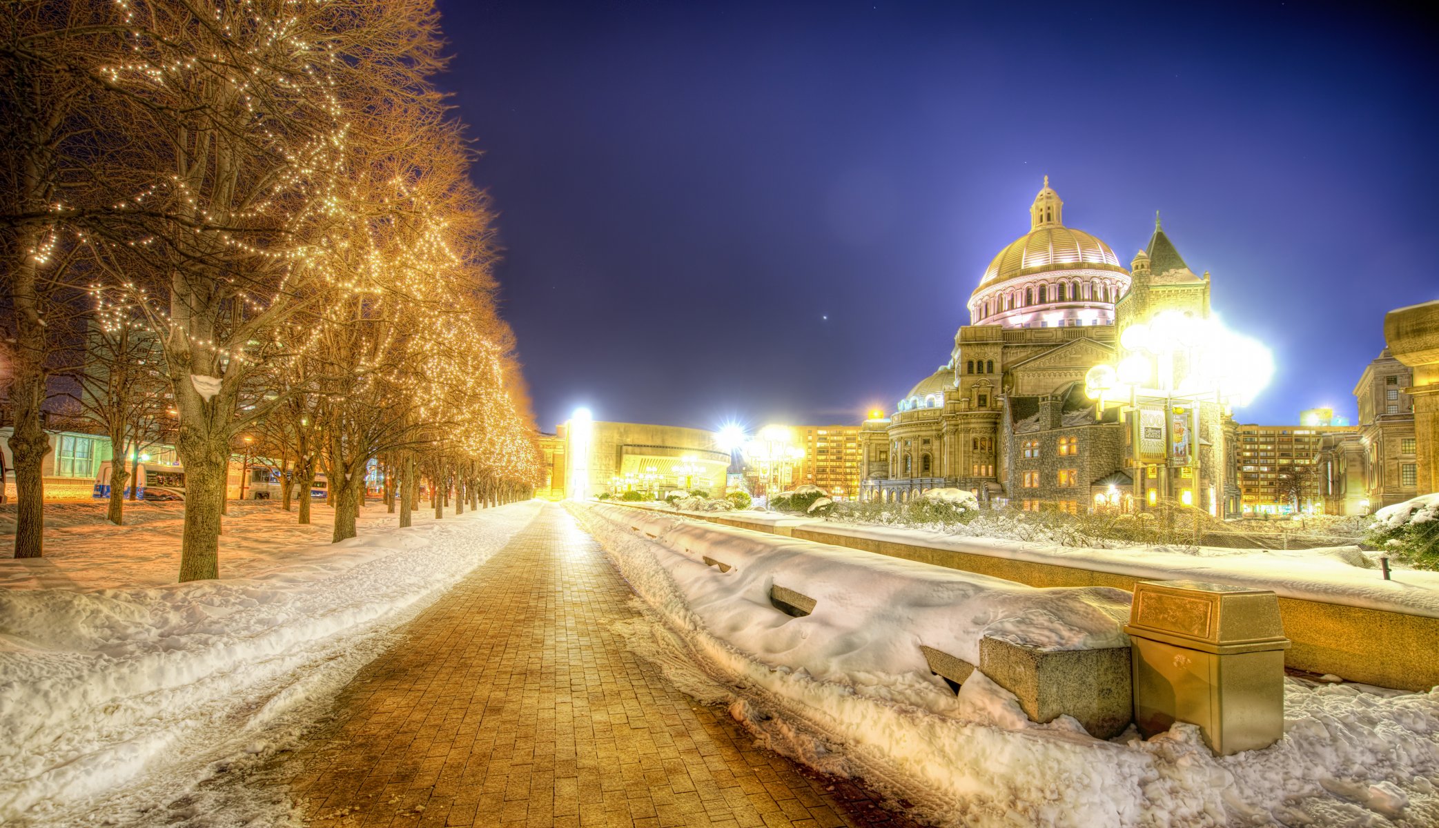 night boston snow tree light