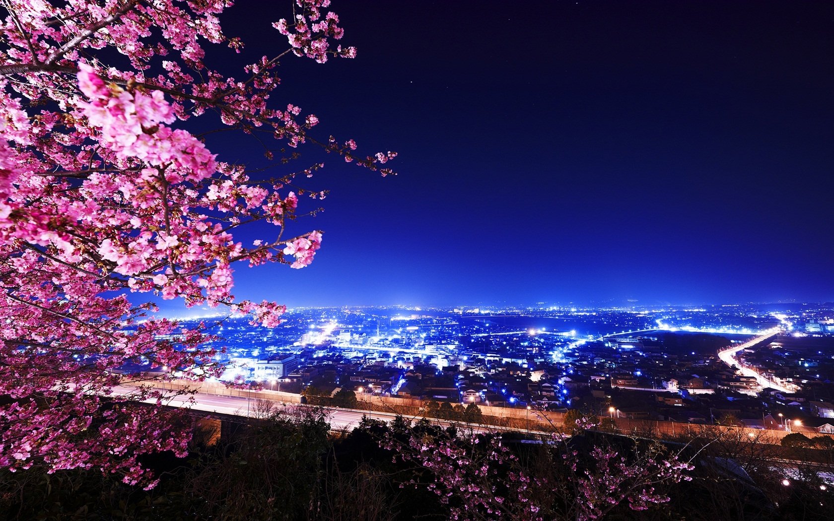 kirschblüten gebäude nacht lichter