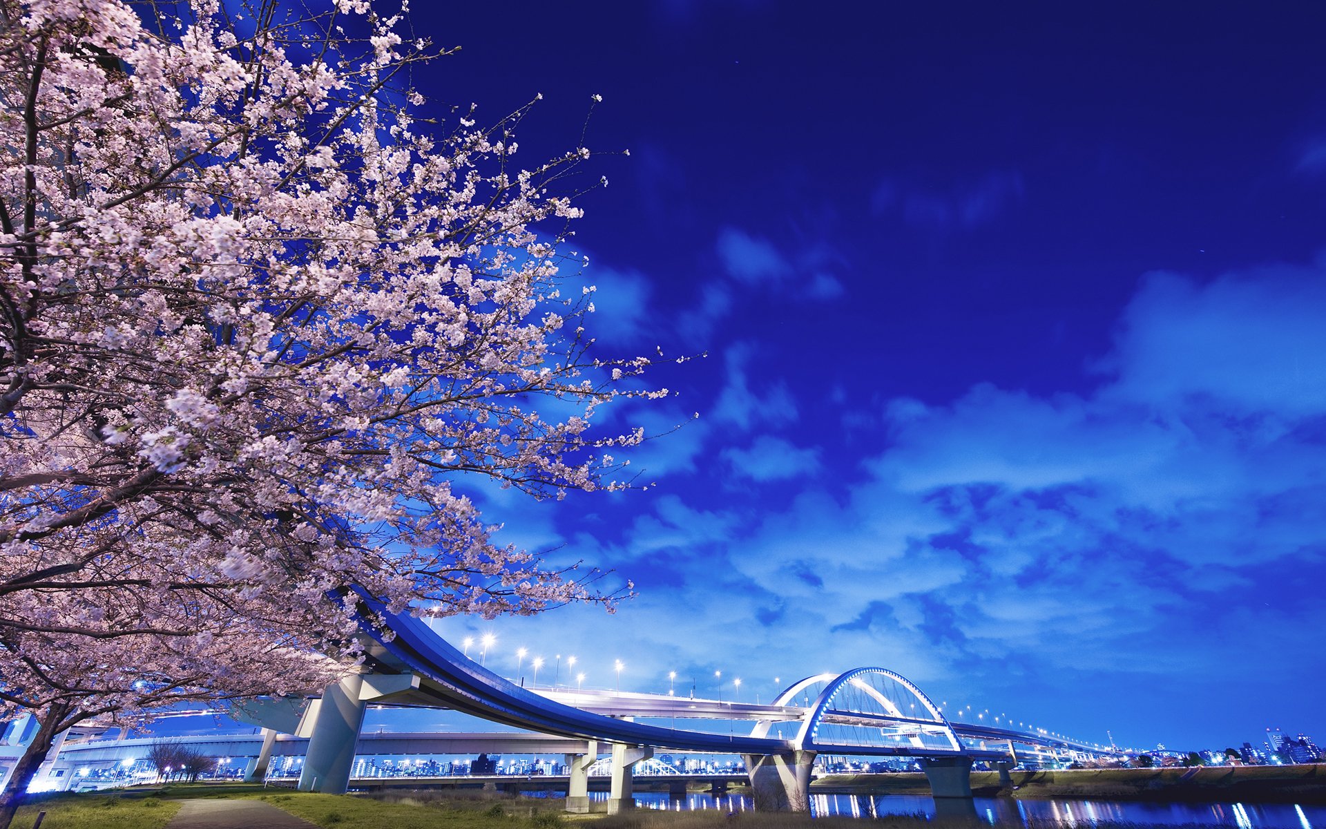 japan baum brücke fluss laternen