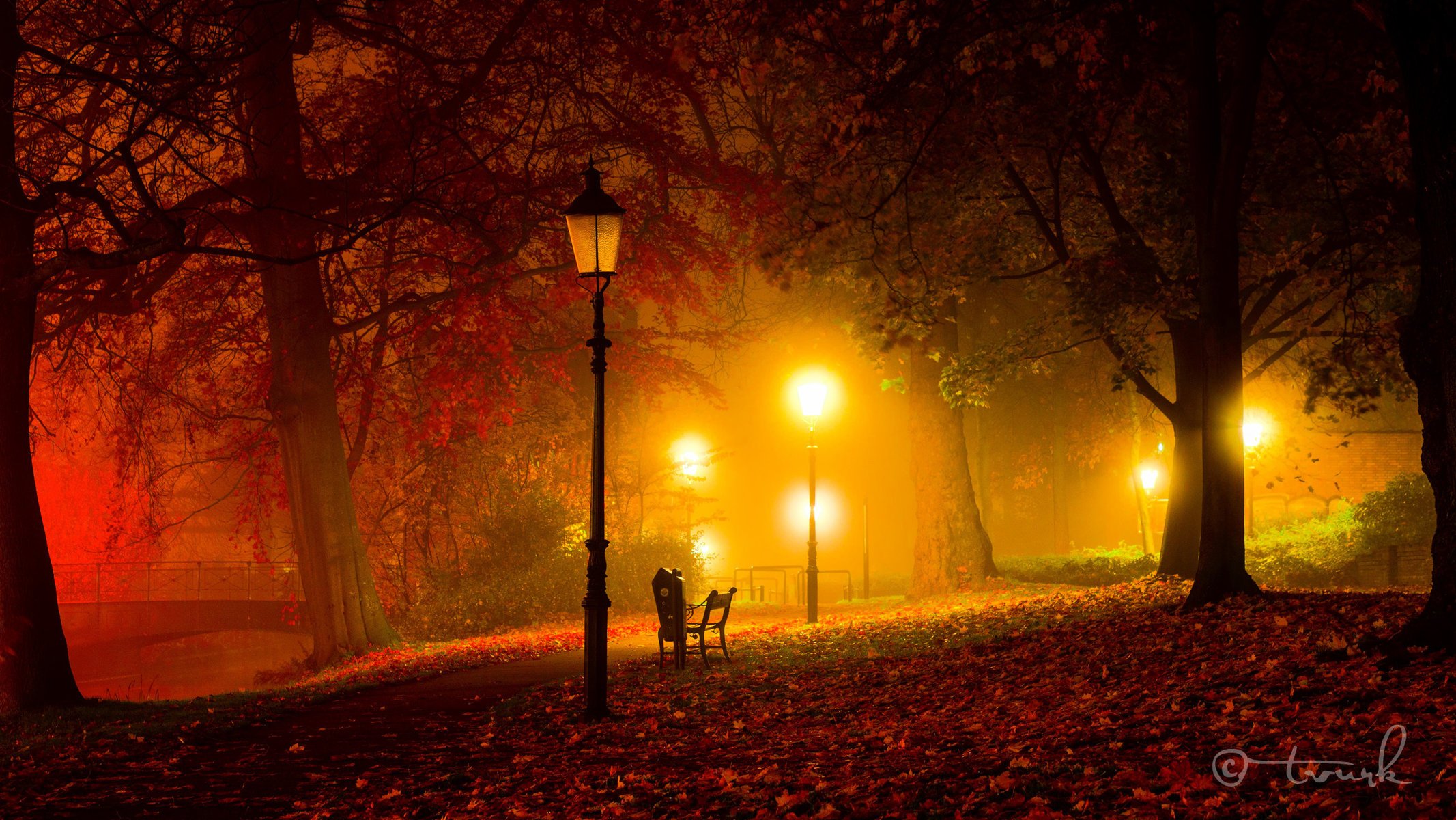 lumière automne crépuscule parc nuit lanternes