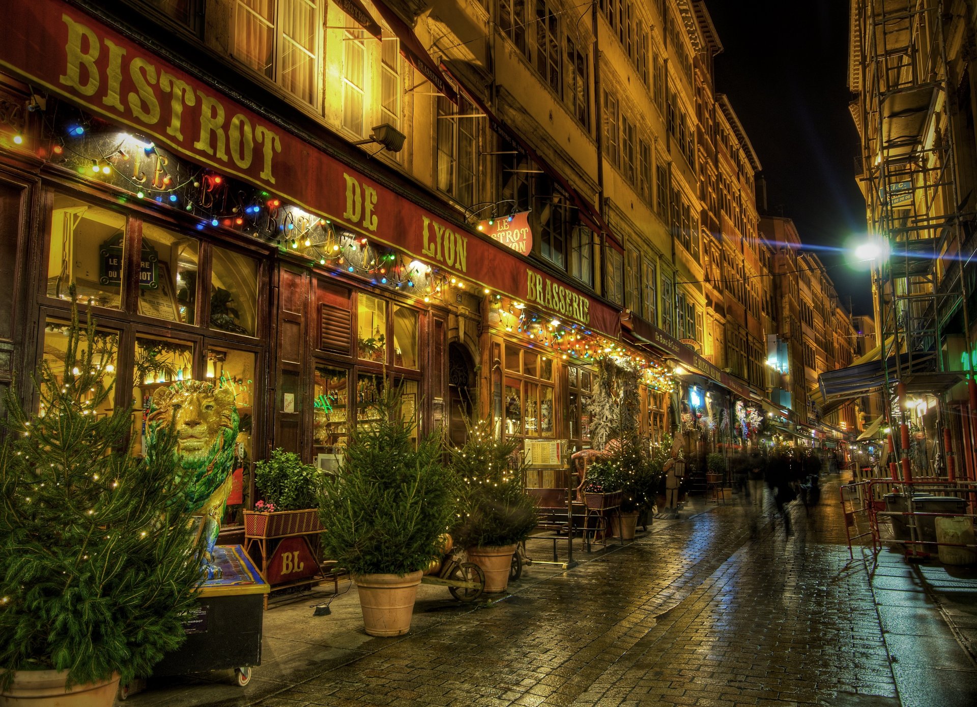 lione francia strada notte persone