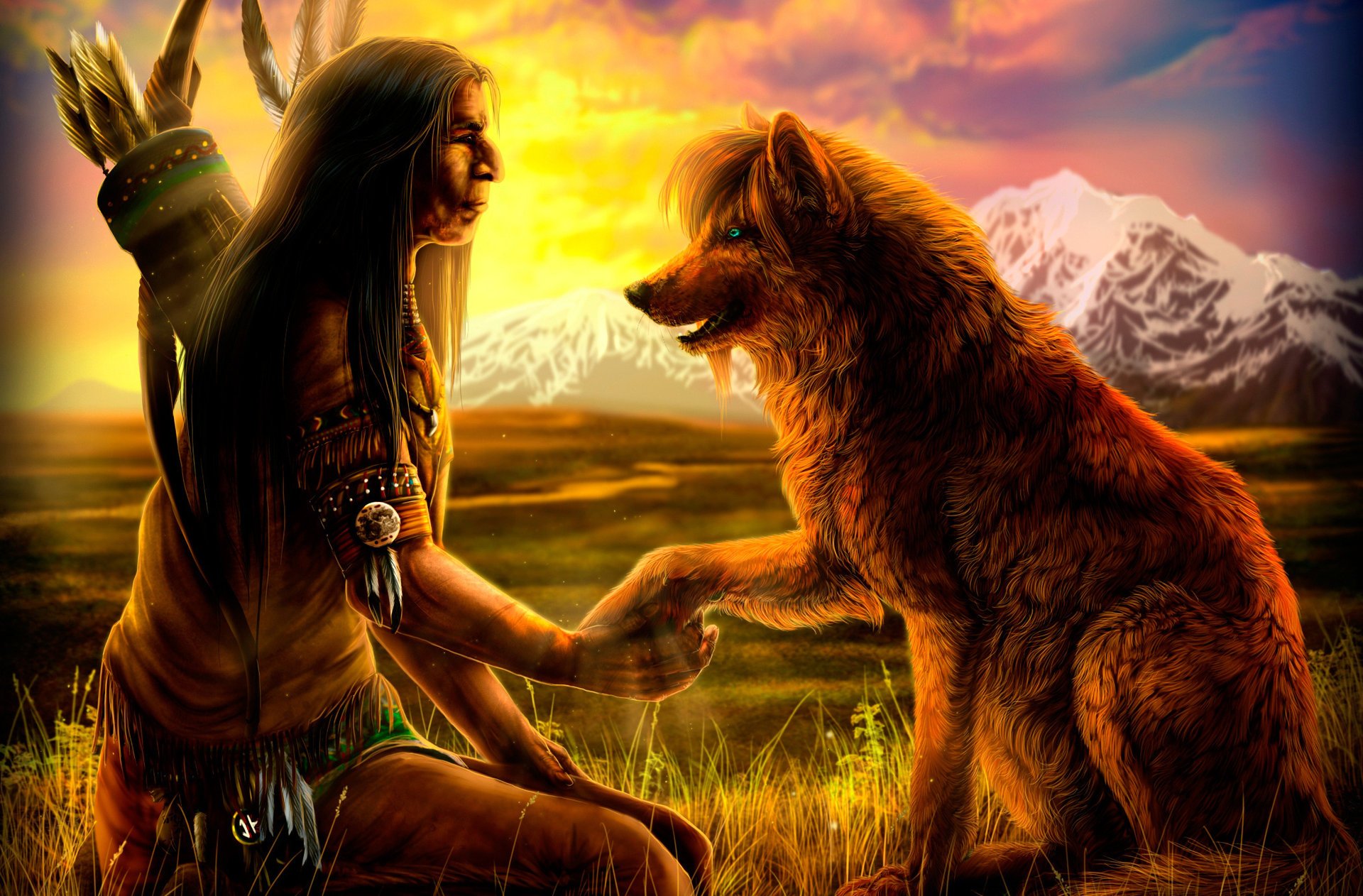 indian wolf sunset