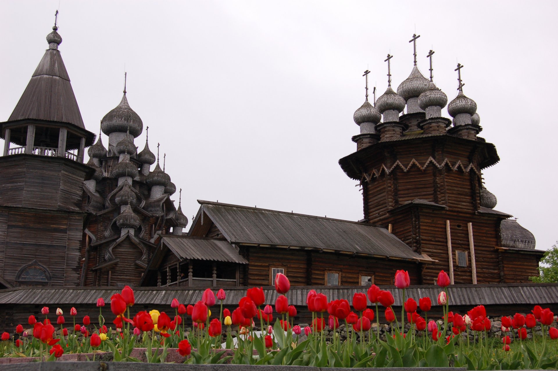 kizhi primo piano fiori