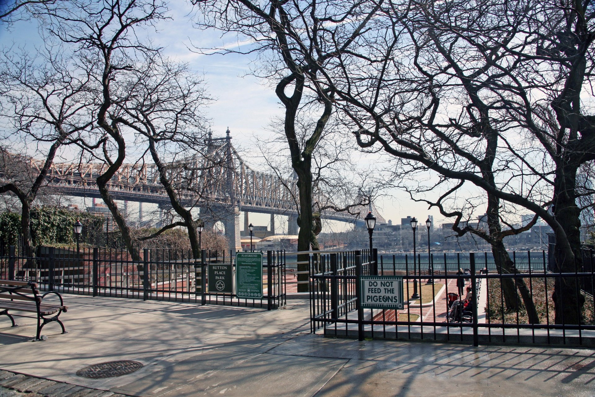 new york arbres parc pont rivière