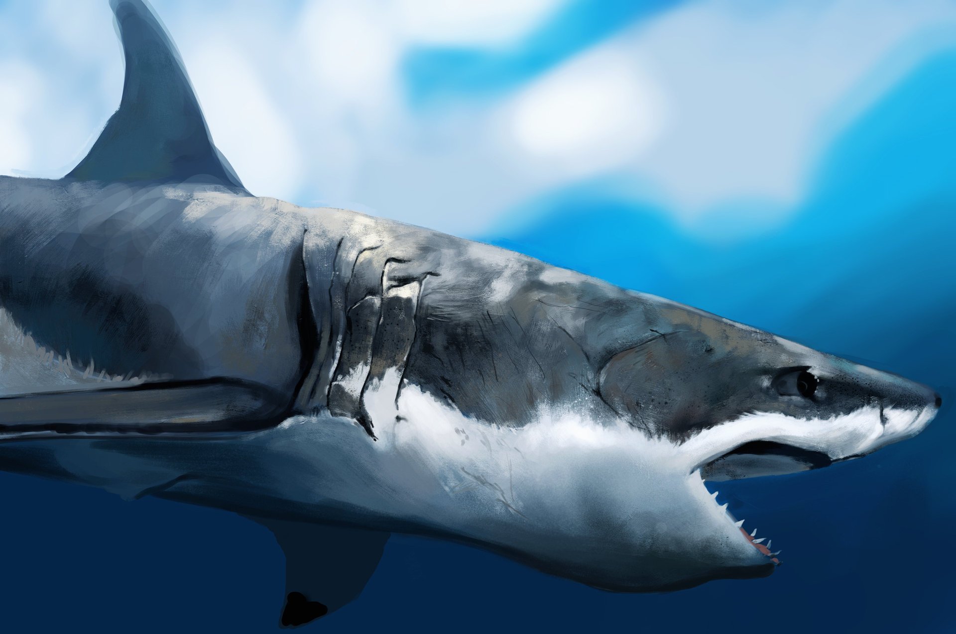 profil sous l eau requin faim bouche art