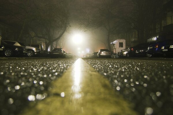 Macro shooting of asphalt after a rainy night . Cars and houses look unusual