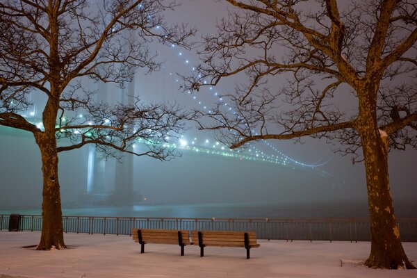 Noche parque invierno puente luces