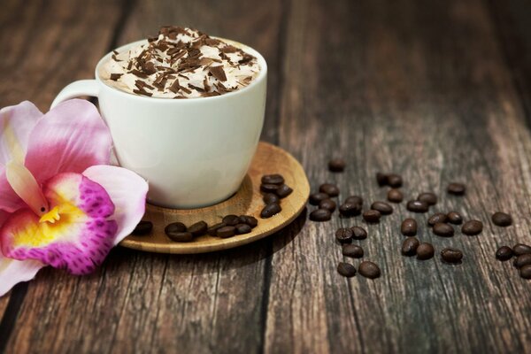 Piankowe cappuccino i różowa orchidea