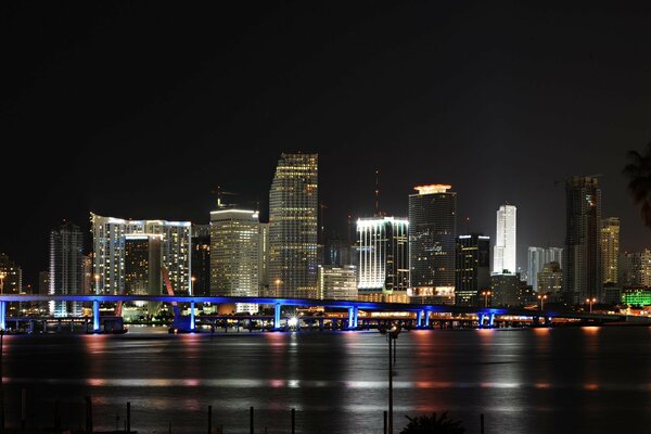 Panorama of a bright city at night