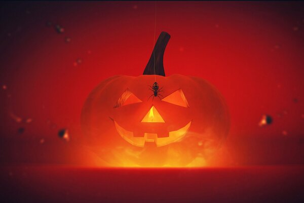 Big orange pumpkin Halloween wallpaper