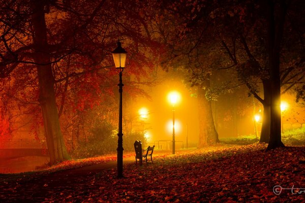 Jesienna noc w parku z latarniami