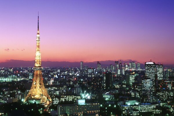 Tokio hermosa ciudad nocturna