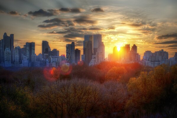 Alberi e edifici autunnali di New York durante un tramonto nuvoloso