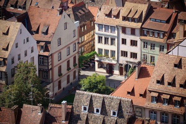 Stadtstraße und Bäume