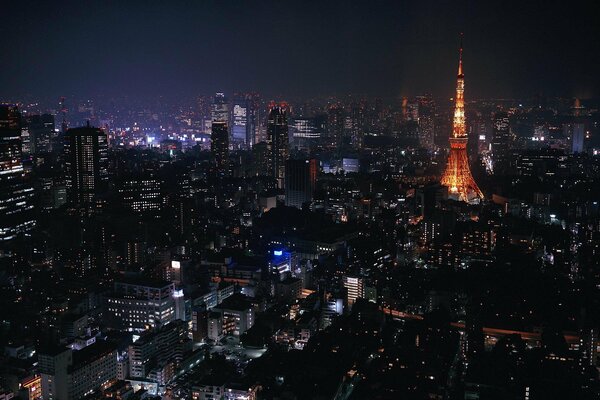 Zdjęcia Tokio Japonia nocą