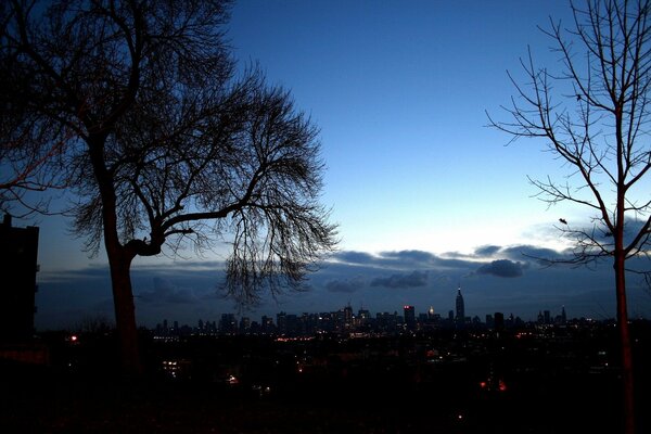 Trees on the background of the city. Twilight sky in clouds