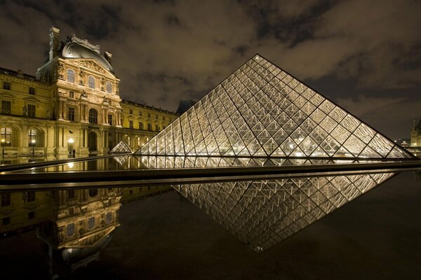 Immagine di un alloro a Parigi in Francia