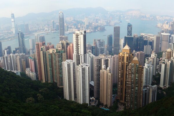 Hong Kong City, altitude view