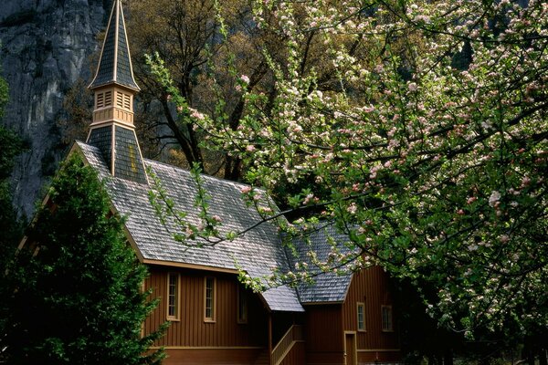 Casa de madera con porche con Manzano en flor