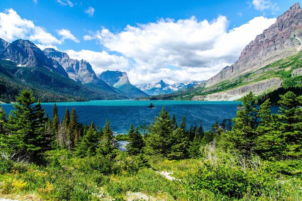 Coniferous forest and lake in the mountains