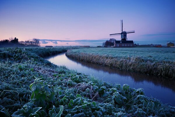 Un coin de nature tranquille aux pays-bas