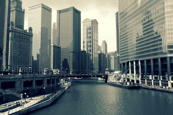 Buildings in Chicago and the river in between