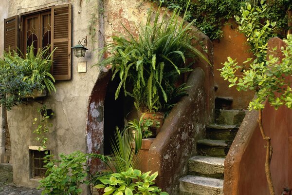 Gemütliche alte italienische Straße in Blumen