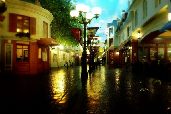 Noche, calle, linterna, farmacia por Bloque