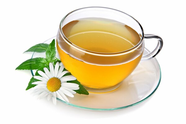 Chamomile tea cup drink