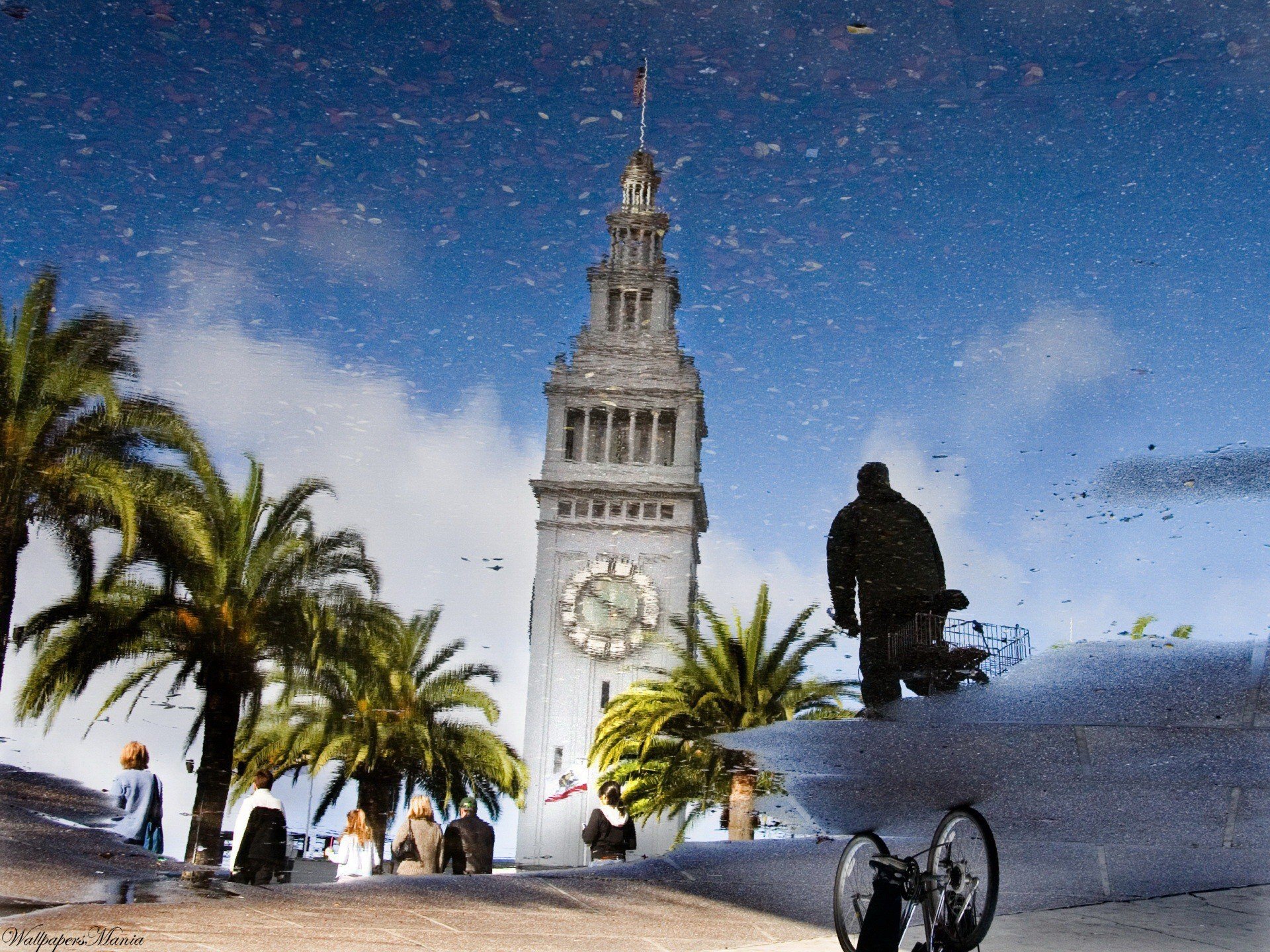 reflexión charco torre