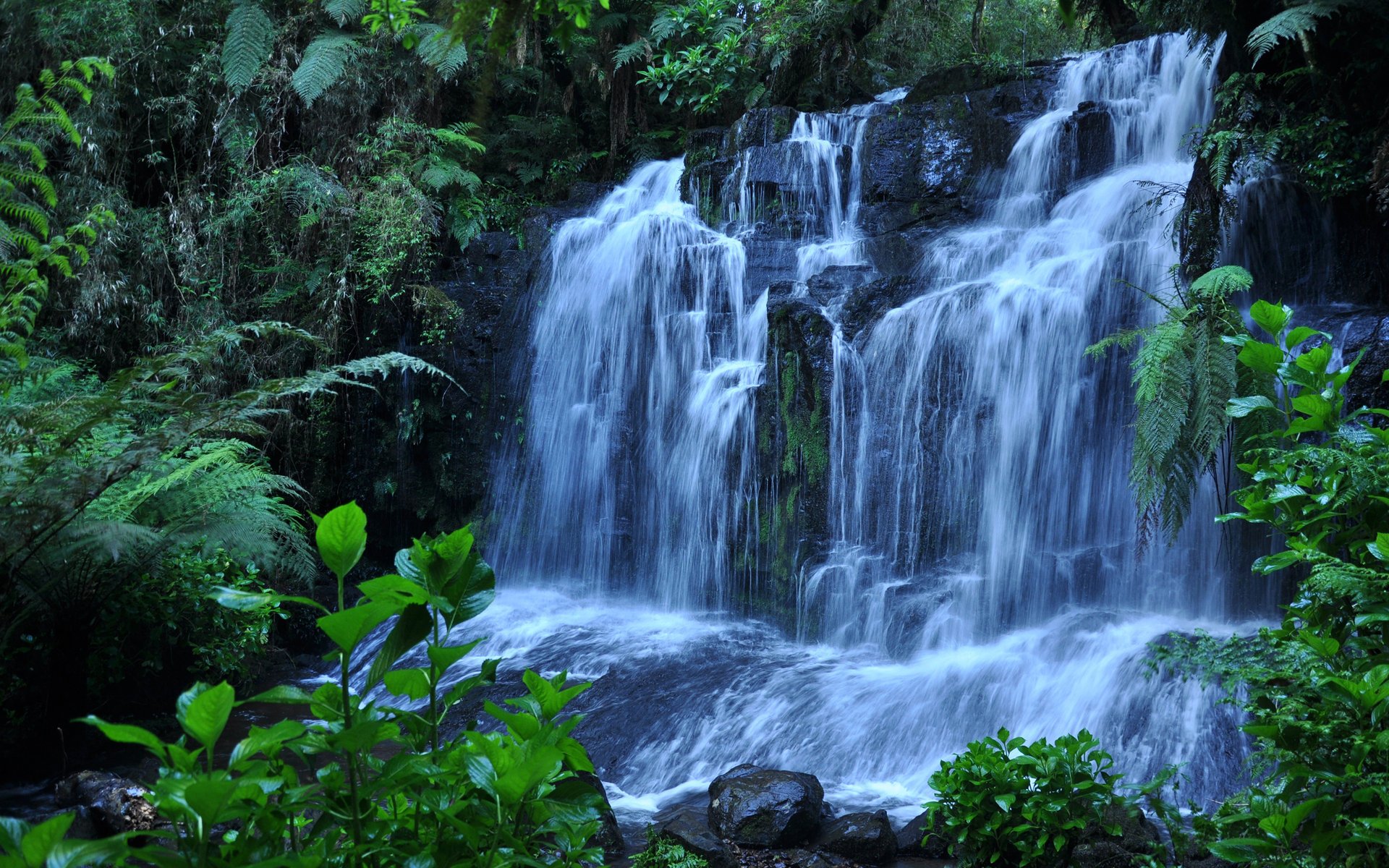 cascata pietre piante acqua